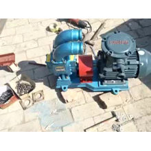 Vehicle circular arc gear pump